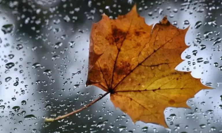 o-outono-chegou-com-chuva-e-descida-das-temperaturas-2-1